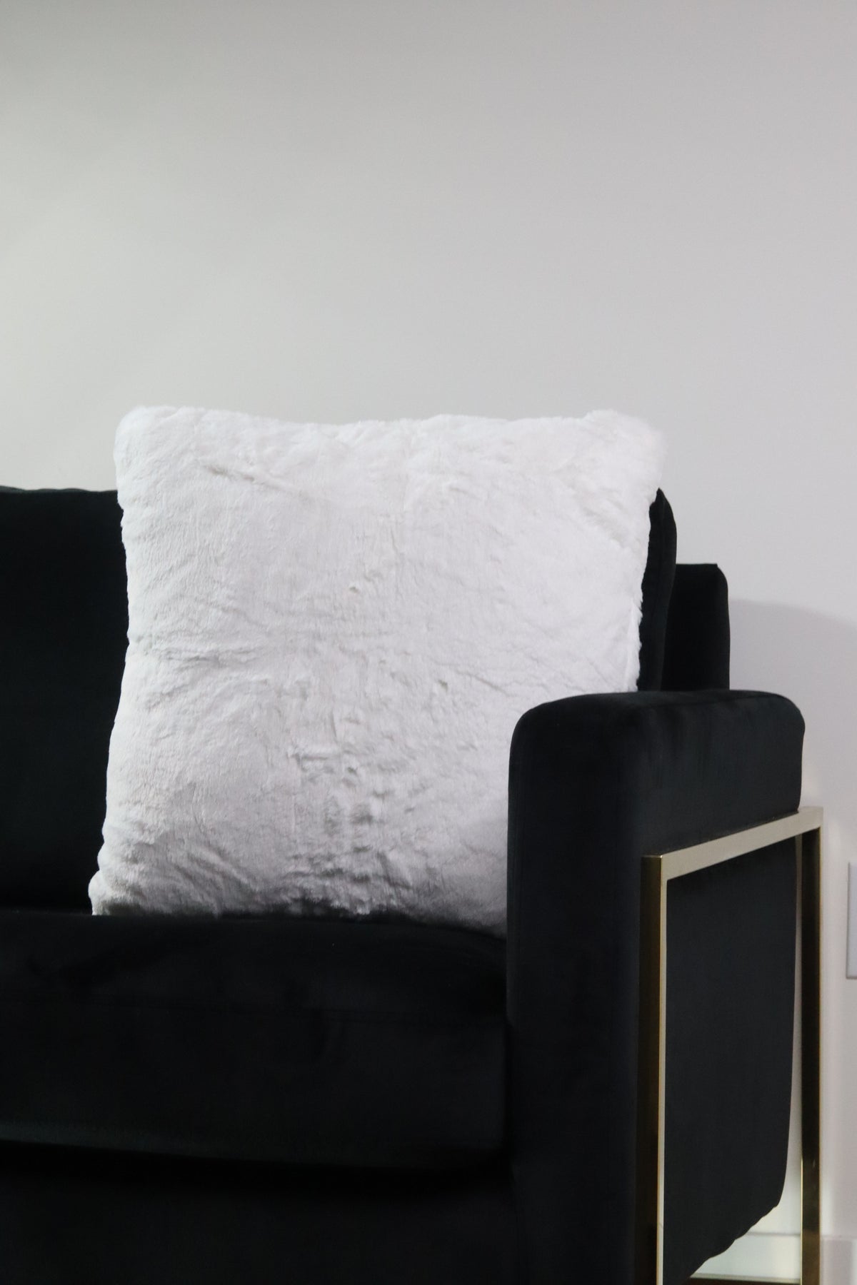 Soft White Plush Two Pillow Set