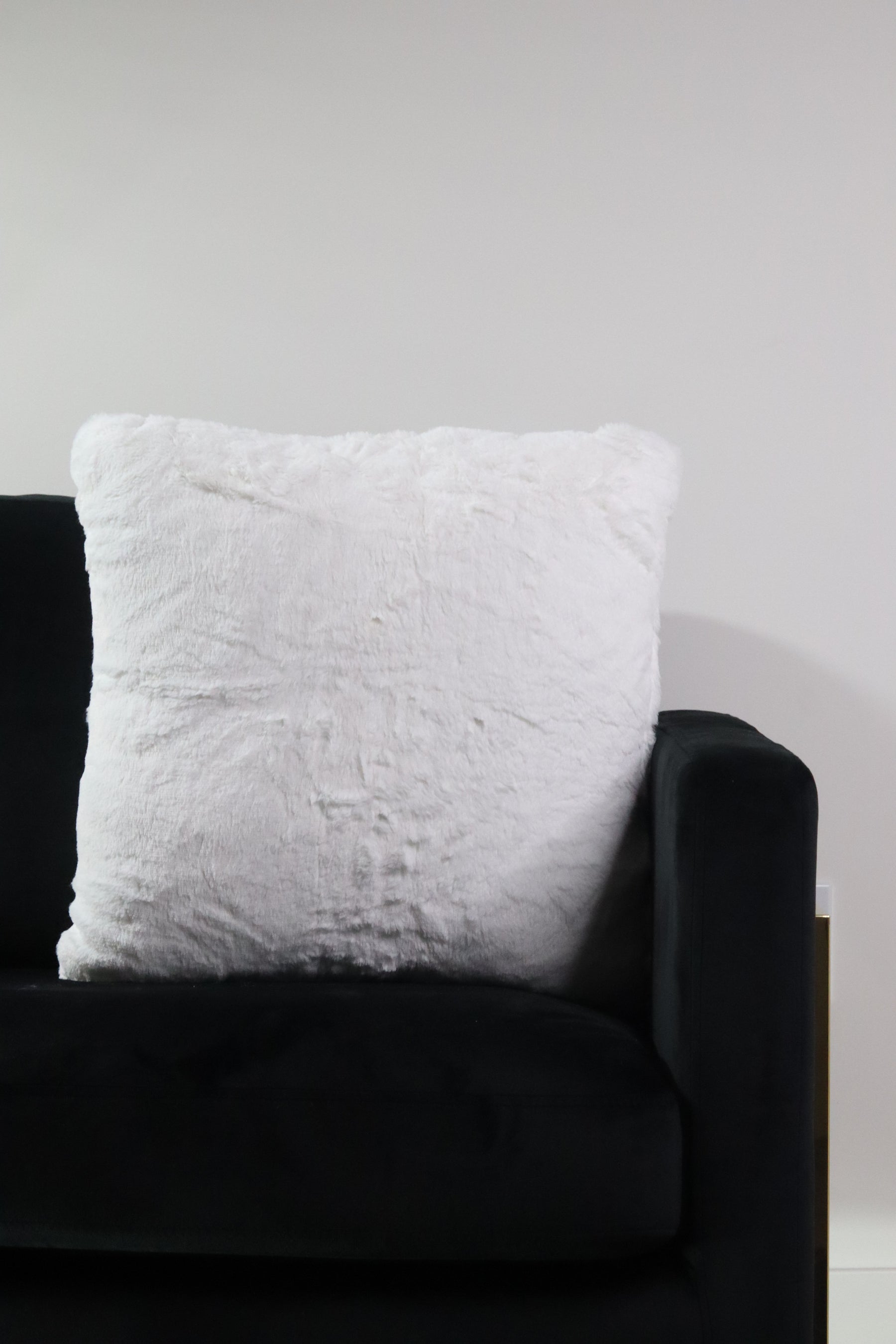 Soft White Plush Two Pillow Set